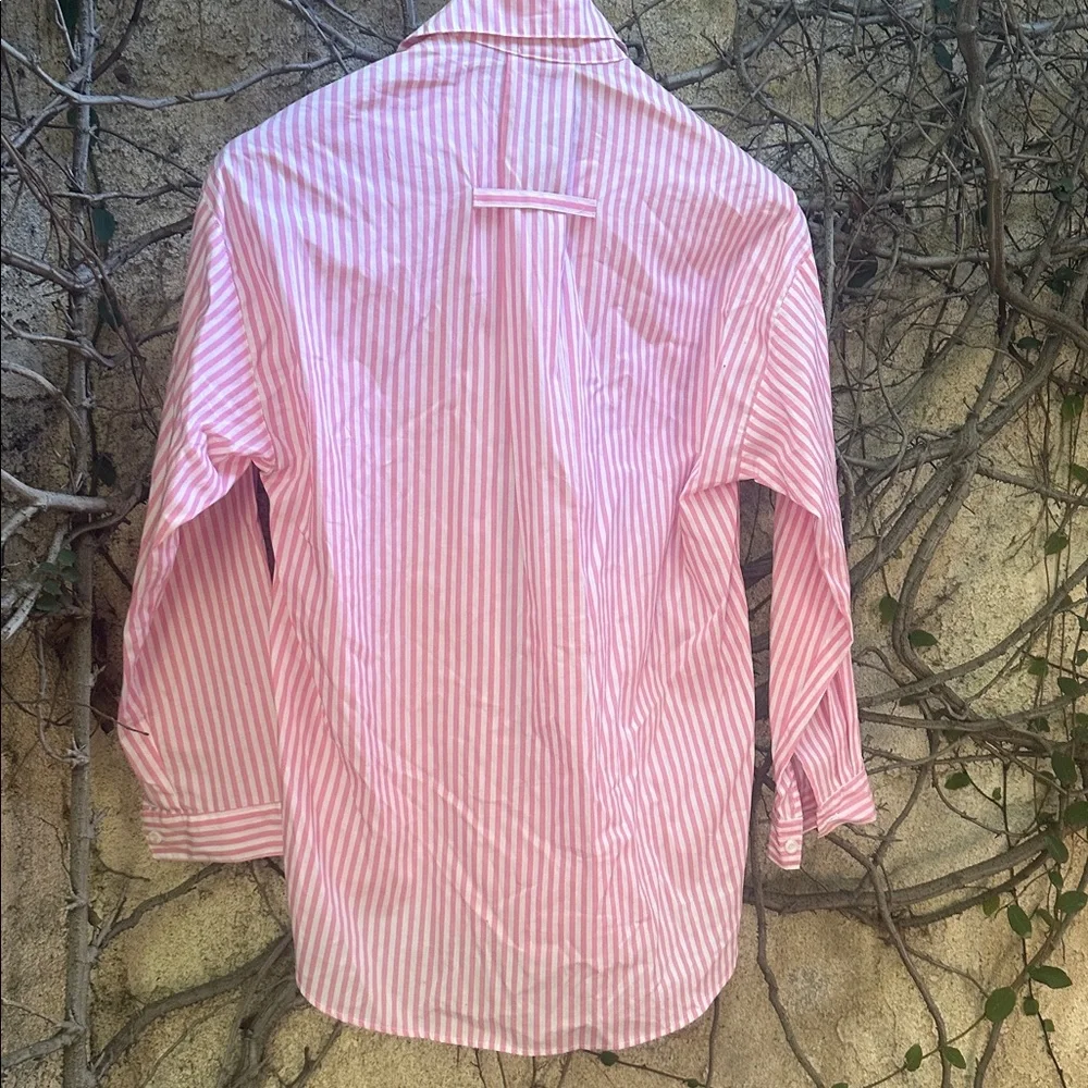 A Shirt Thing Cherry Blossom Stripes Shirt